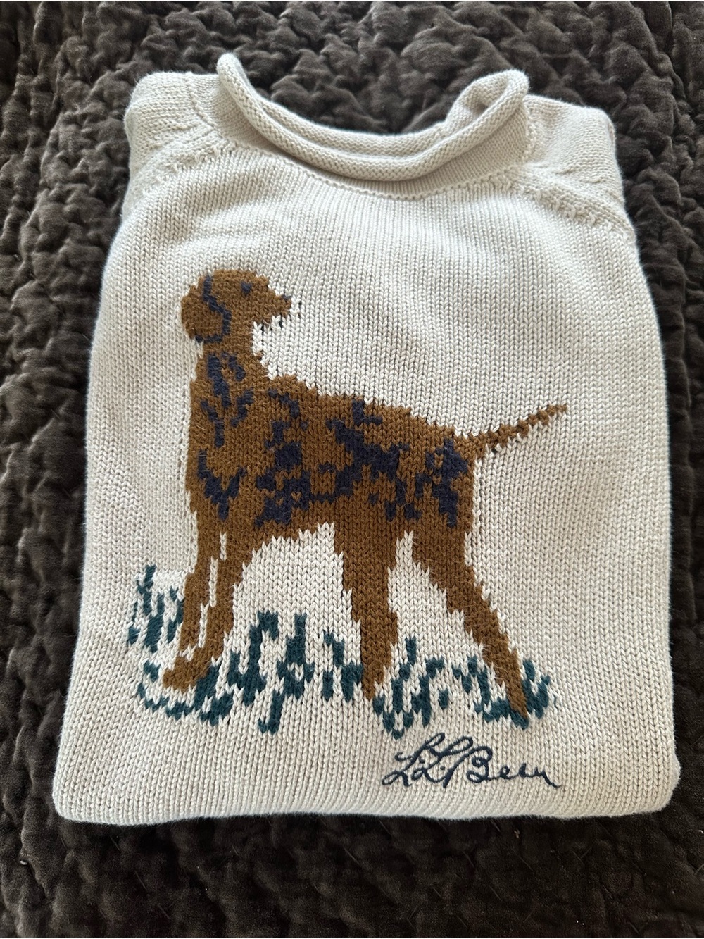 L.L. Bean Cream Knit Dog Sweater with Brown and Blue Dog Motif size L-14-16